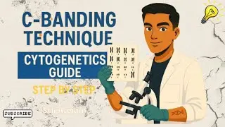 C-Banding Explained Step by Step | Cytogenetics Technique Guide (With Protocol)