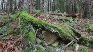 Tina Loeffler - Hill Hide (Official Video)