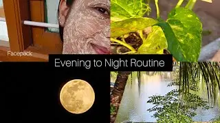 Evening to Night 🌻 Pregnancy routine | Amma veetu 🧿🤰🏻 | After Marriage 