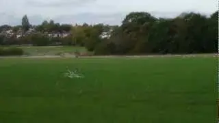 Mosquito Hex  test