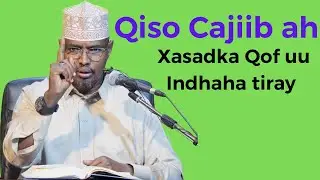 Qiso Cajiib Ah: Dhibaatada Xasadka Uu Leeyahay || Sh. Xassaan