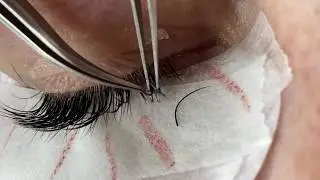 M Curl Lash Extensions & Retention tips