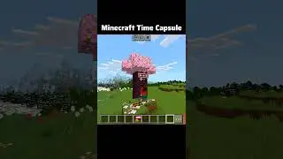 Minecraft Time Capsule #minecraft #minecraftshorts #shorts #minecraftmemes