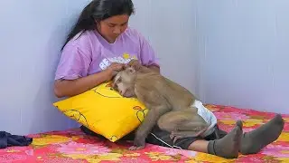 Obedient Boy Kako Taking Nap On Mom Laps
