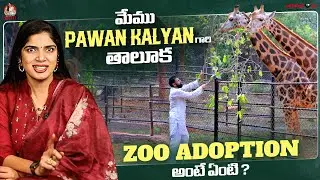 మేము Pawan Kalyan గారి తాలూకా | Zoo Adoption అంటే ఏంటి ? | Pawan Kalyan adopts 2 Giraffes