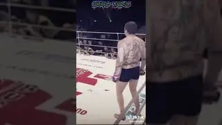 Жесткий нокаут от Александра Емельяненко#shorts #emelianenko #mma #mmafighter #knockoutstage