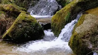 Activar Cerebro, Ondas Gama, Estudiar, Relajar, Meditar, Ondas Binaturales