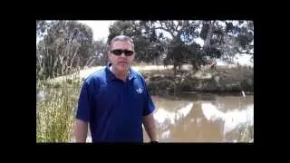 Inverleigh Fishing