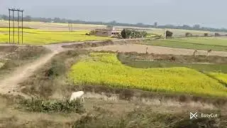 Beauty of Nature | North Bengal 😍 #trainjourney 🚆