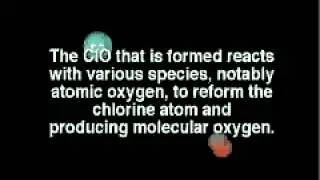 CFC's and Stratospheric Ozone