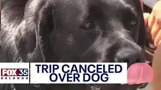Florida man's cruise plans canceled after he was denied boarding over missing service dog paperwork