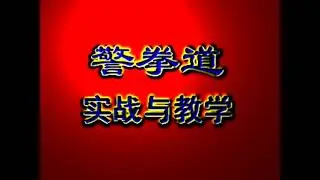 Chinese Police Fighting Methods (Part 2)