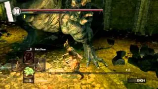 Dark Souls NG+++ Stray Demon, Peculiar Doll and Crest Shield