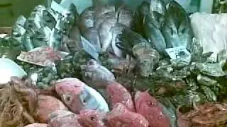 20090619