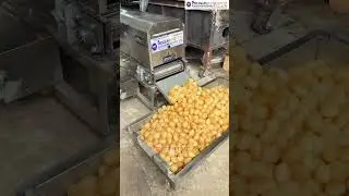 Panipuri Fryer Machine | Fryer Machine | Panipuri Machine | Automatic Fryer Machine #shortsfeed #yt