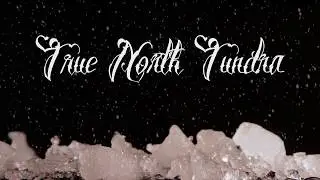 True North Tundra | Ambience