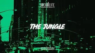 Joey Badass Type Beat | Jay Z Type Beat