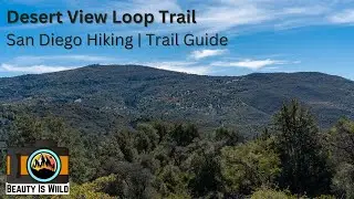 Desert View Loop Trail Guide: Scenic San Diego Hike in Mission Trails