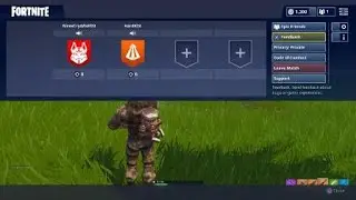 Duo squad victory !