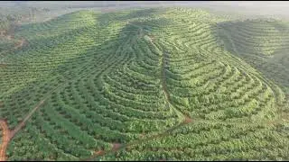 Hijau bumi Allah SWT 🍃❤️ #djidrone #kotatinggi #mothernaturelover #kakidrone
