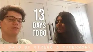 3 DAYS OF STRESS AND PAPERWORK | 100 Days Til Graduation