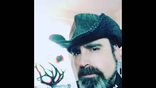 15 Second Spirit Animal Oracle, The Elk