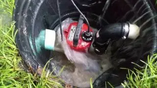 Liberty sewage pump model LE102A2 in sump pit application during tropical storm Cindy 2017