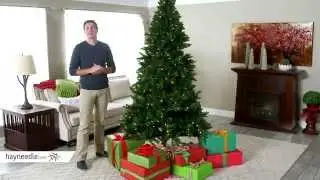 7.5ft LED Dual Light Function Oakland Spruce - Product Review Video