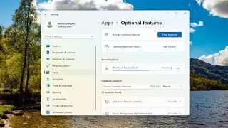 Факсы и сканирование Windows не работают в Windows 11 [Решение]