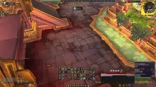 8.3 Holy Priest 2v2!