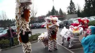 Mak Fai Washington Kung Fu Club/Lion Dance Team 09