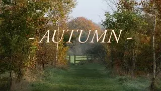 Autumn