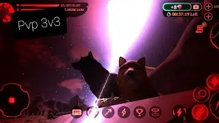 Pvp 3v3/4v4 | 2.5m-6m room | THE WOLF ONLINE SIMULATOR