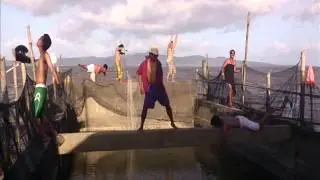 Harlem Shake Explosion