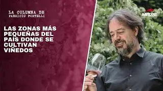 Fabricio Portelli y las zonas más pequeñas del país donde se cultivan viñedos