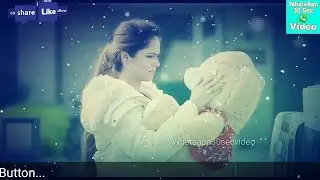 Teddy Day Status New Whatsapp Special Status 2018