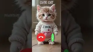 Cute cat calling