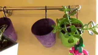 Indiegogo Eden Suction Cup Planter by Okedome