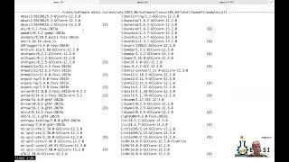 EESSI Happy Hour  (6 Oct 2025) - Environment variables to tweak EESSI initialization
