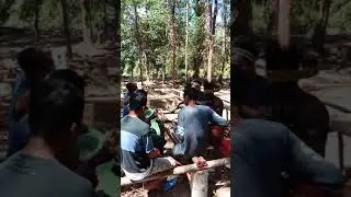 Memef papua (bahasa moskona)