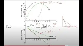 IB Economics: 2.11 Market Failure - Market Power: Revenue (HL)