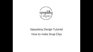 Snap Clips