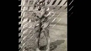 32 photos vintage LGBT