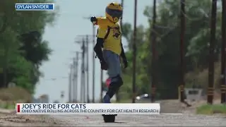 Ohio native raising money for cat health research