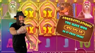 TOP 10 WINS ON THE DOG HOUSE SLOT (2020) - ONLINE CASINO BEST OF #22 🔥
