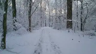 Snowy Walk along the Bike Path in Pennypack Park