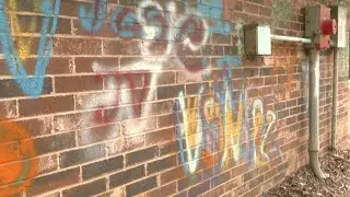 Vandals target Ardmore parks