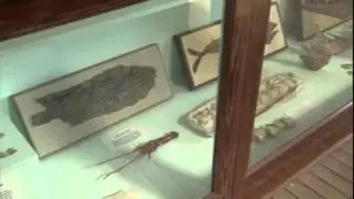 Bennett-Watt Hd Productions Inc Inc  Kansas: Monument Rocks / Keystone Gallery And Fossil Museum