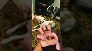 First transition. Good?????????????