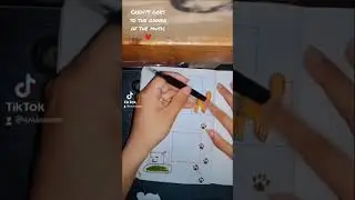 Scrapbook | Meme Cats